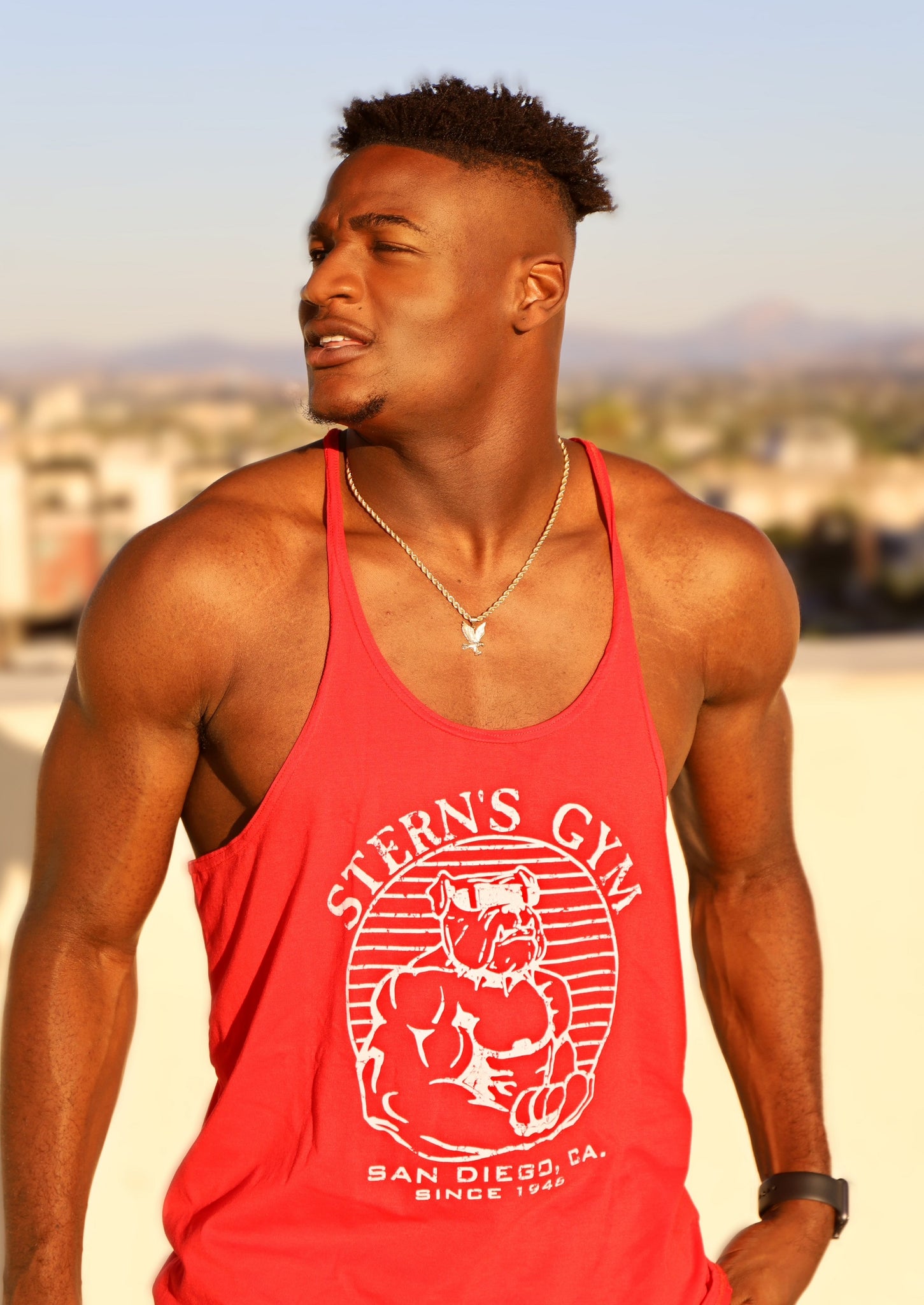 Stringers